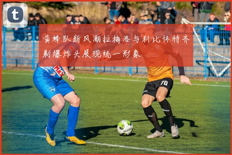 黄蜂队新风潮拉梅洛与科比怀特齐剃爆炸头展现统一形象